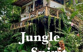 Jungle Spirit Treehouse
