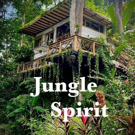 Villa Jungle Spirit Treehouse à Cahuita Extérieur photo
