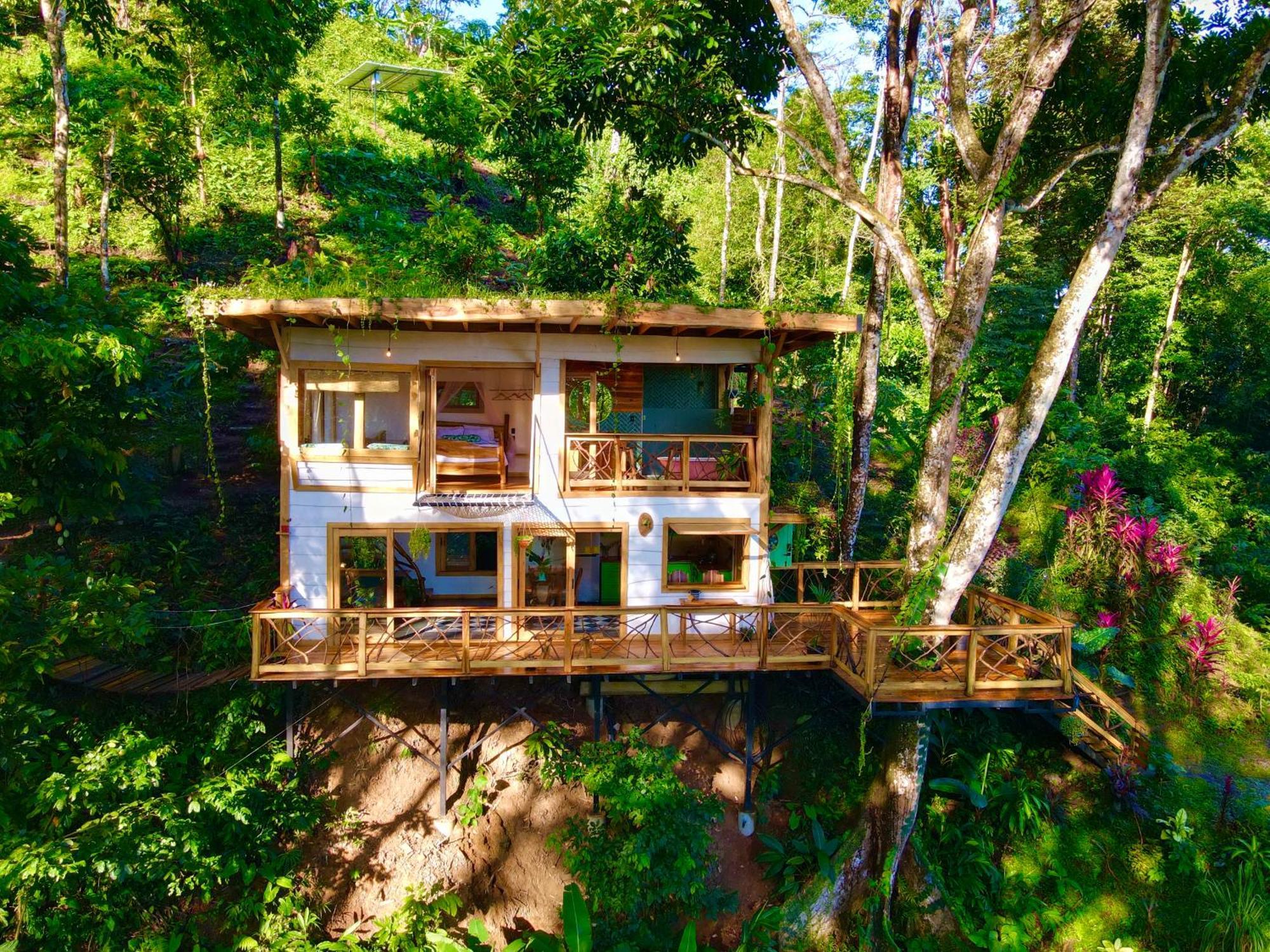 Villa Jungle Spirit Treehouse à Cahuita Extérieur photo