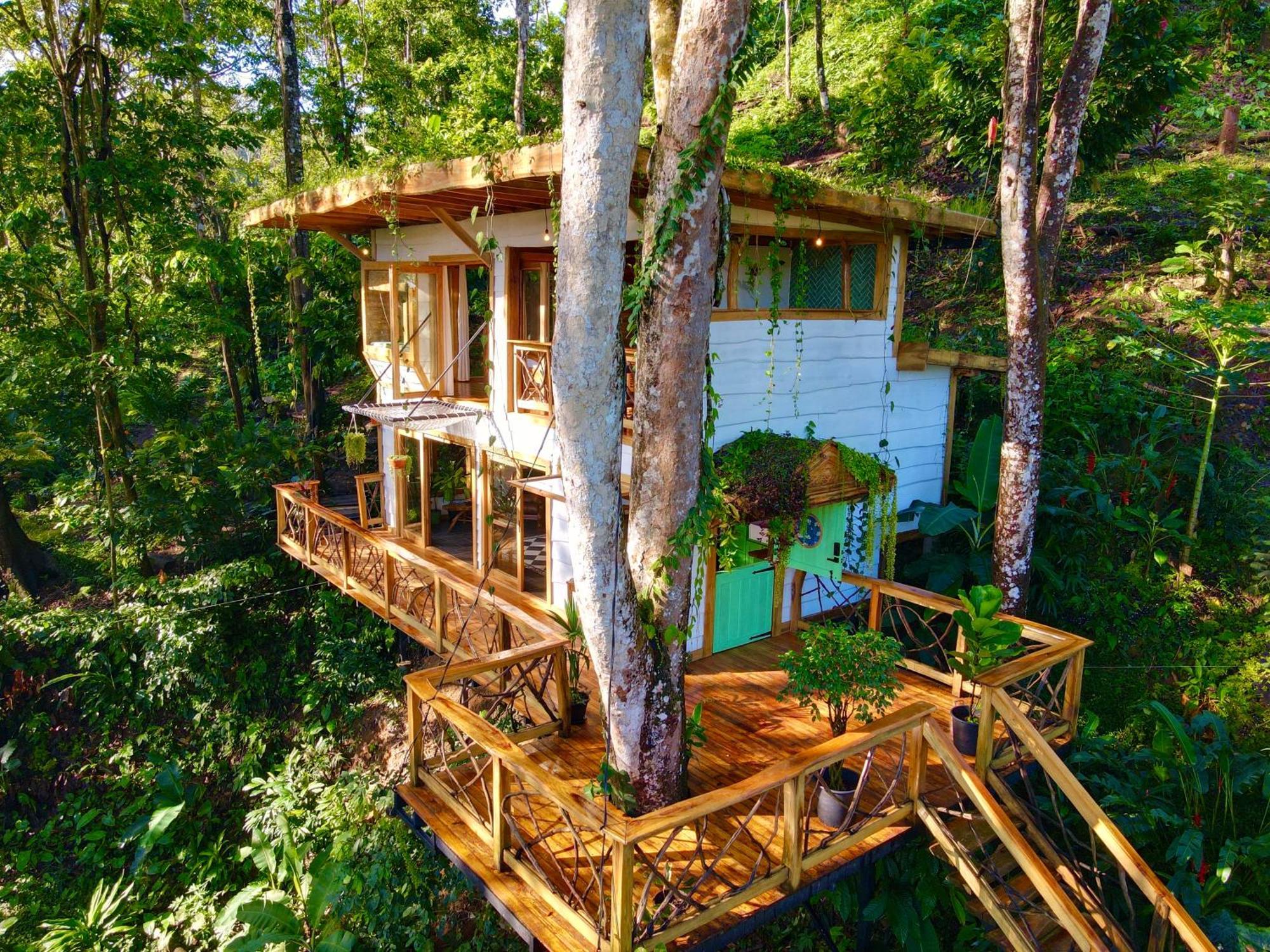 Villa Jungle Spirit Treehouse à Cahuita Extérieur photo