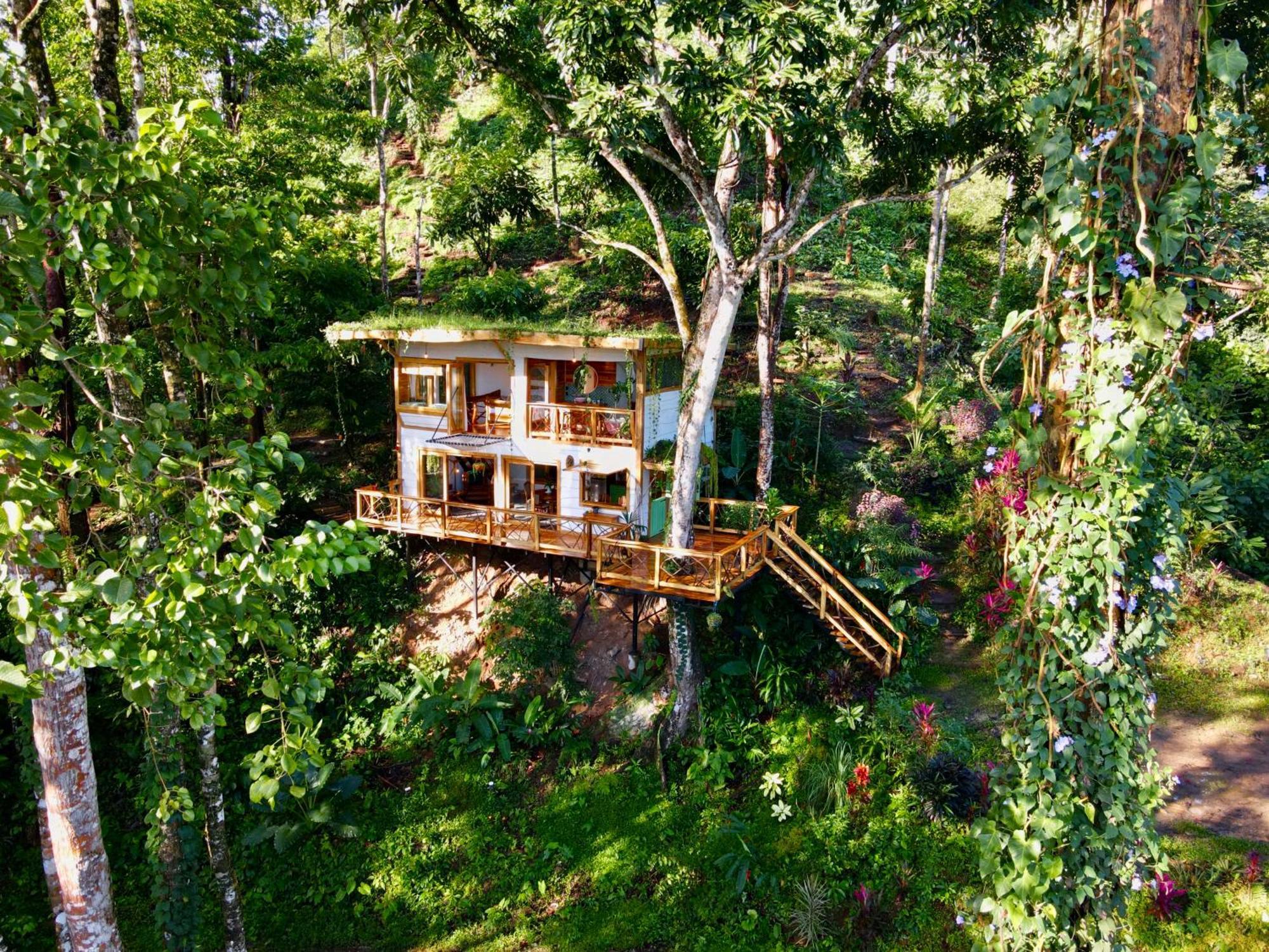 Villa Jungle Spirit Treehouse à Cahuita Extérieur photo