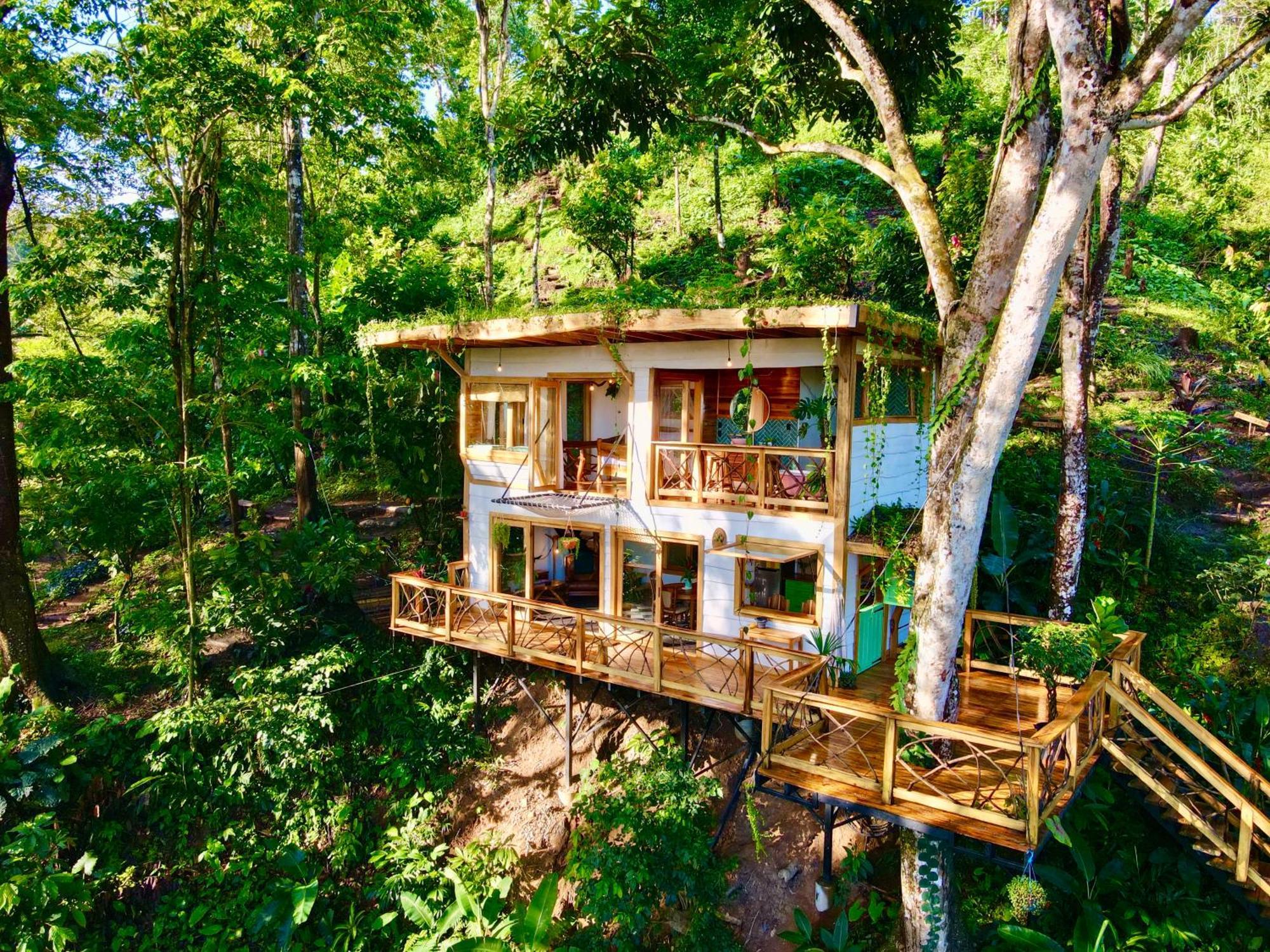 Villa Jungle Spirit Treehouse à Cahuita Extérieur photo