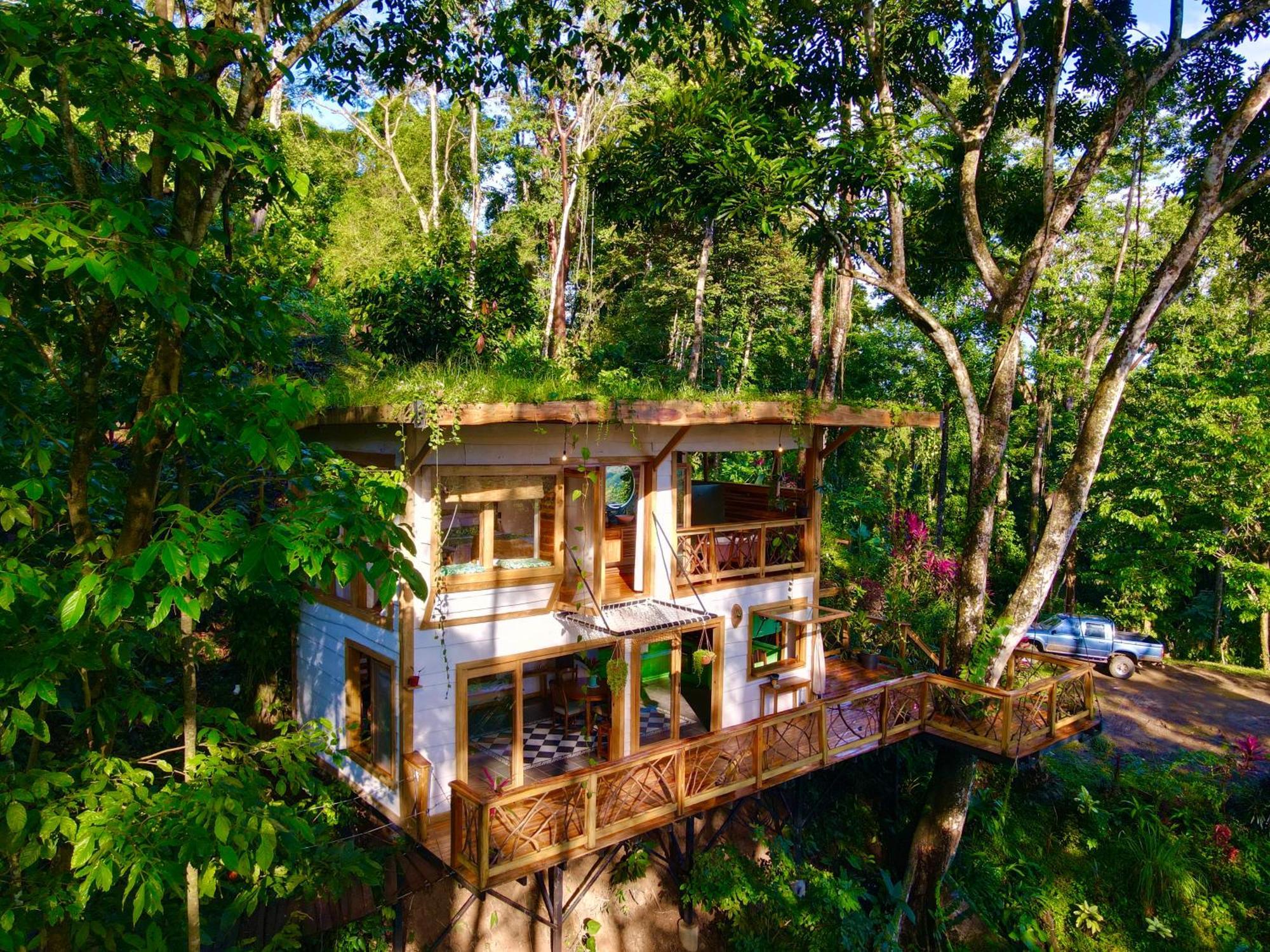 Villa Jungle Spirit Treehouse à Cahuita Extérieur photo