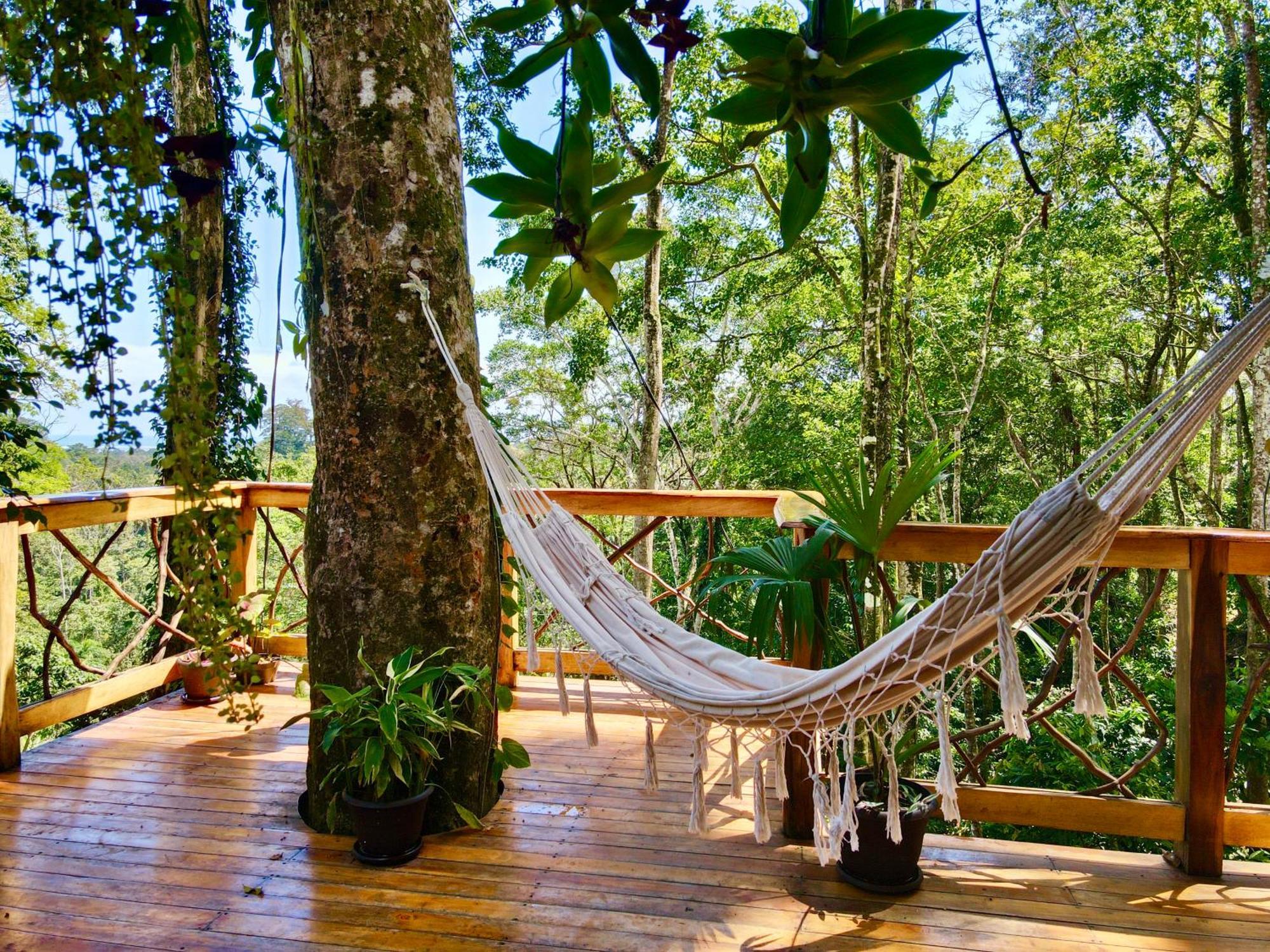 Villa Jungle Spirit Treehouse à Cahuita Extérieur photo