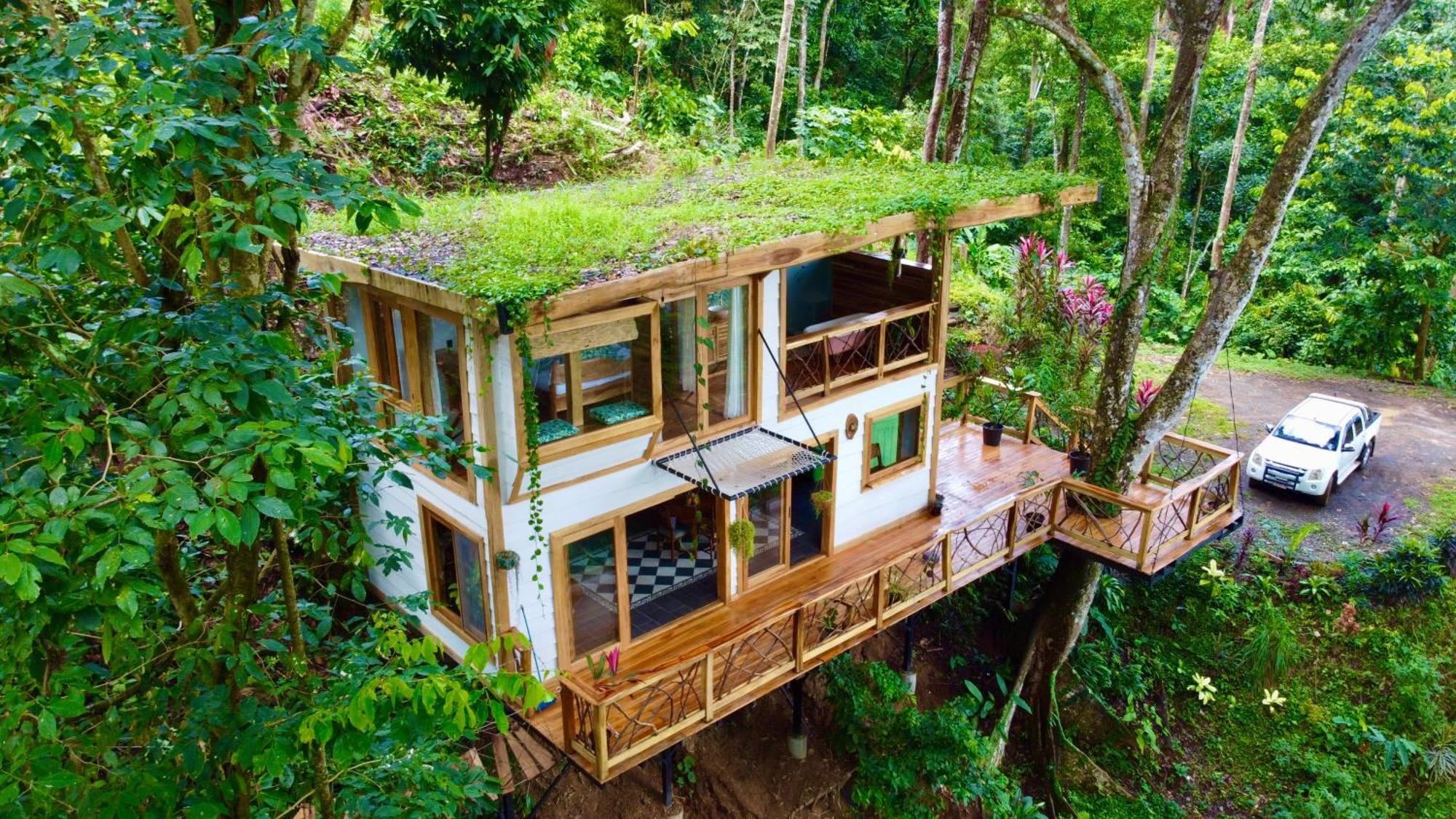 Villa Jungle Spirit Treehouse à Cahuita Extérieur photo