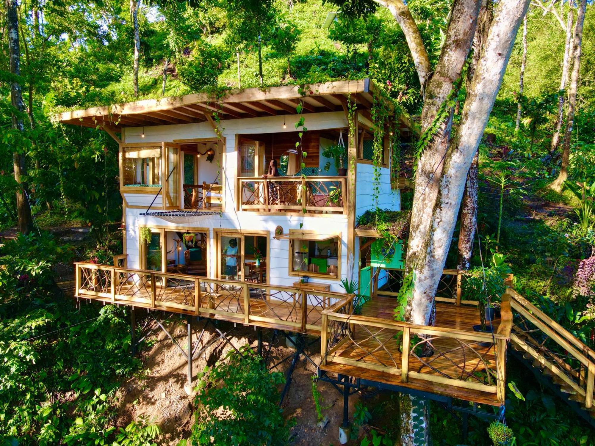Villa Jungle Spirit Treehouse à Cahuita Extérieur photo