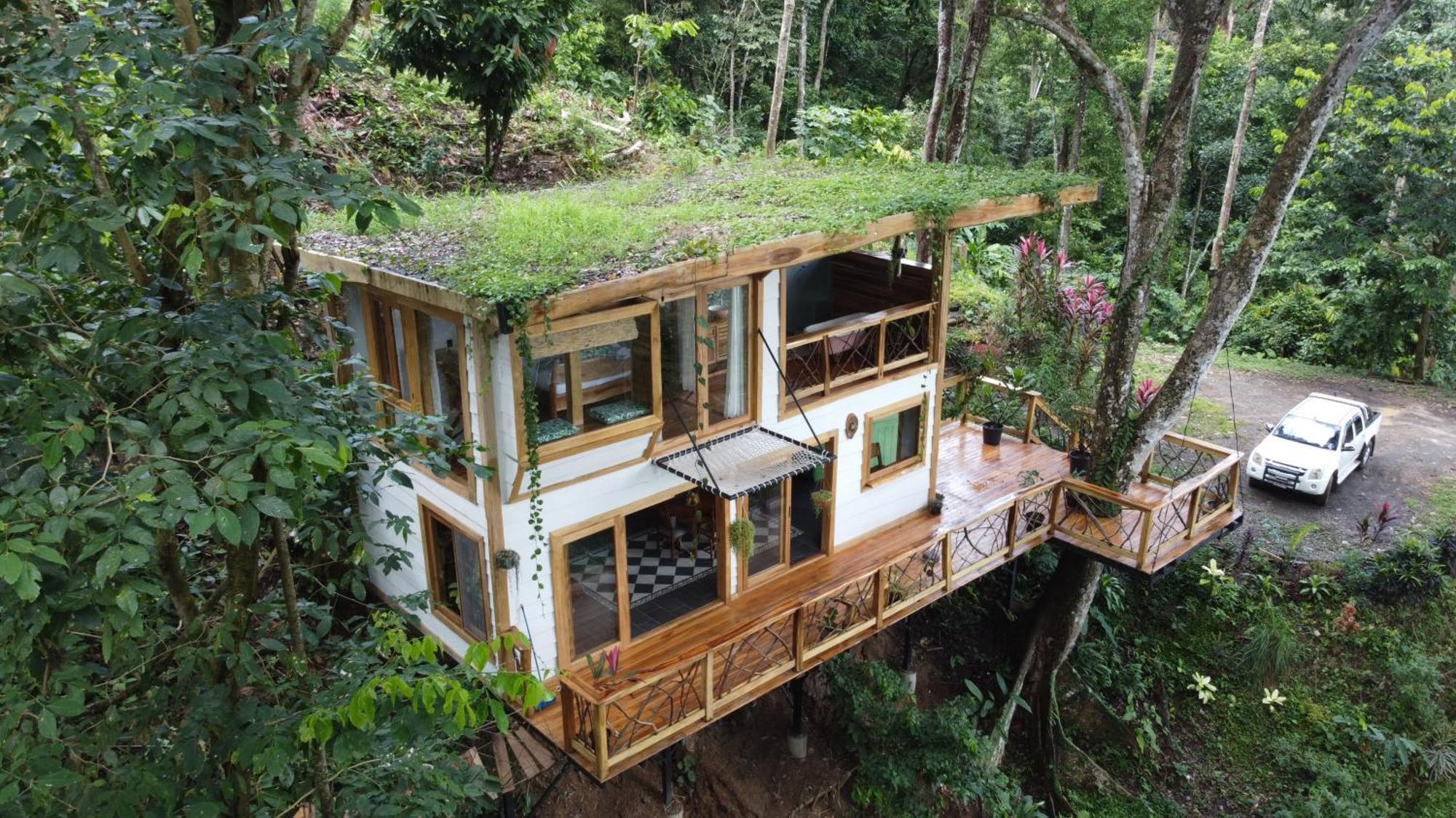 Villa Jungle Spirit Treehouse à Cahuita Extérieur photo