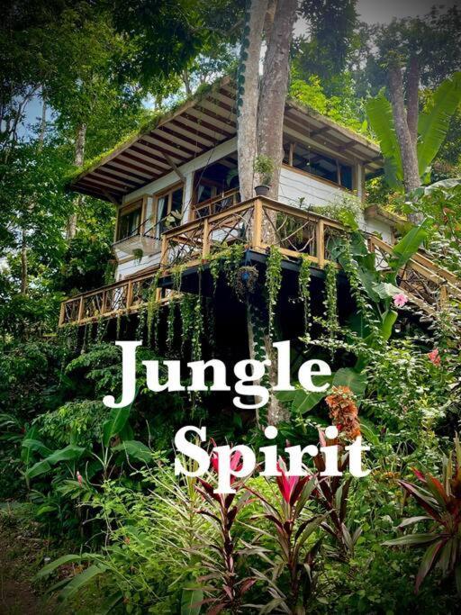 Villa Jungle Spirit Treehouse à Cahuita Extérieur photo