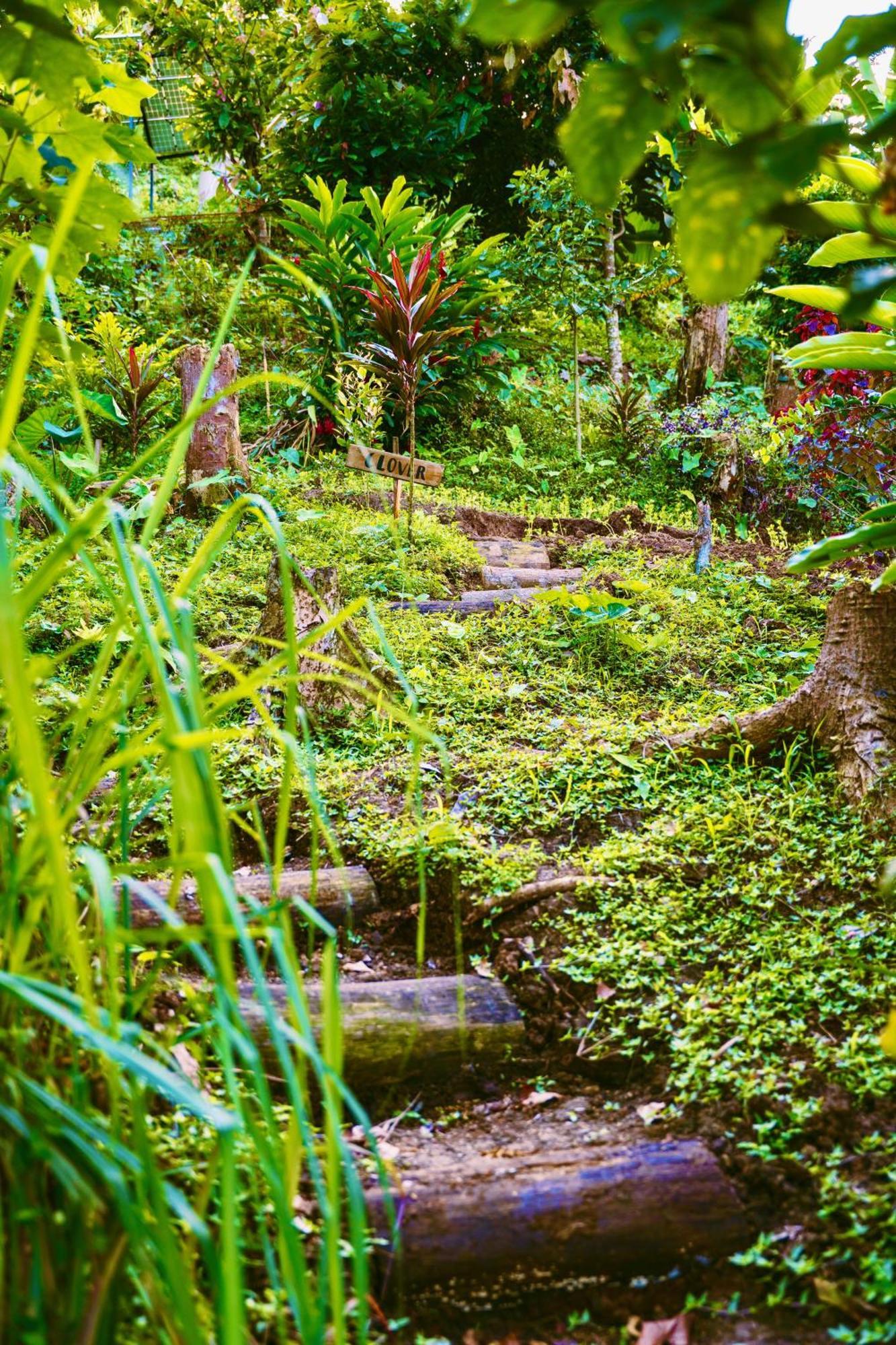 Villa Jungle Spirit Treehouse à Cahuita Extérieur photo