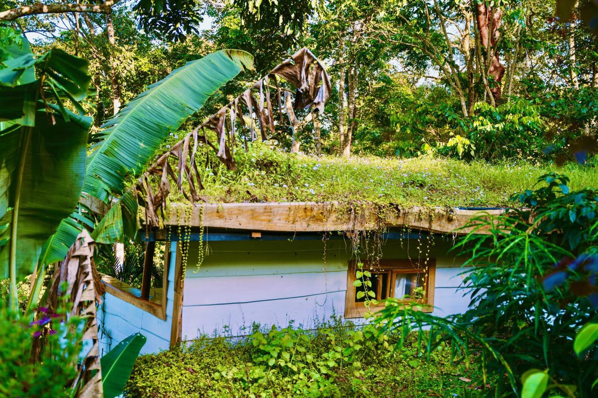 Villa Jungle Spirit Treehouse à Cahuita Extérieur photo