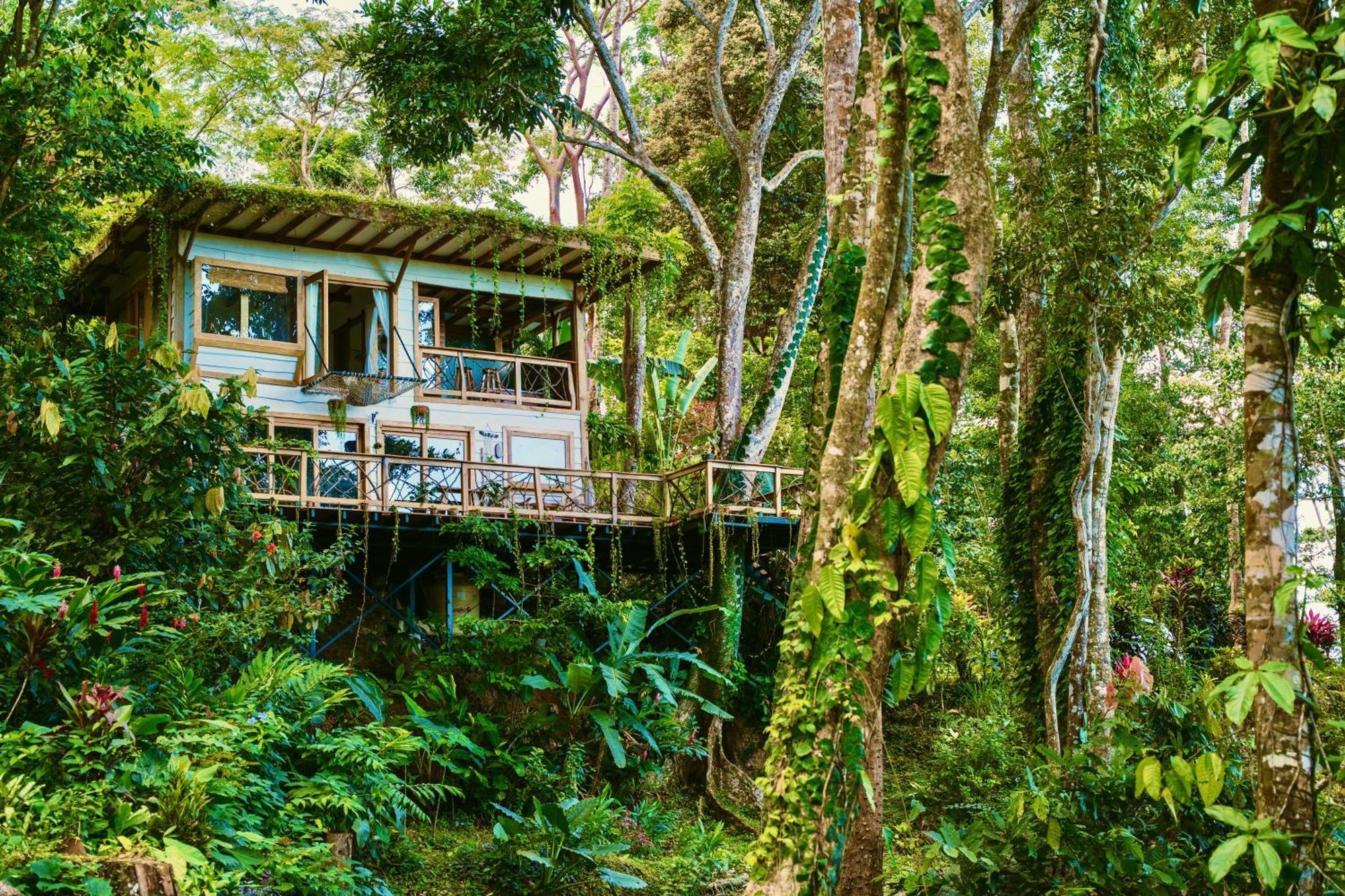 Villa Jungle Spirit Treehouse à Cahuita Extérieur photo