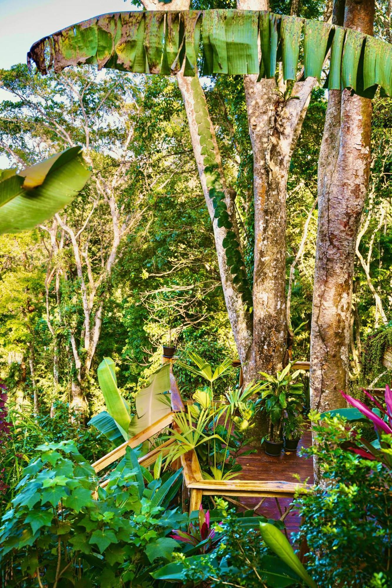 Villa Jungle Spirit Treehouse à Cahuita Extérieur photo