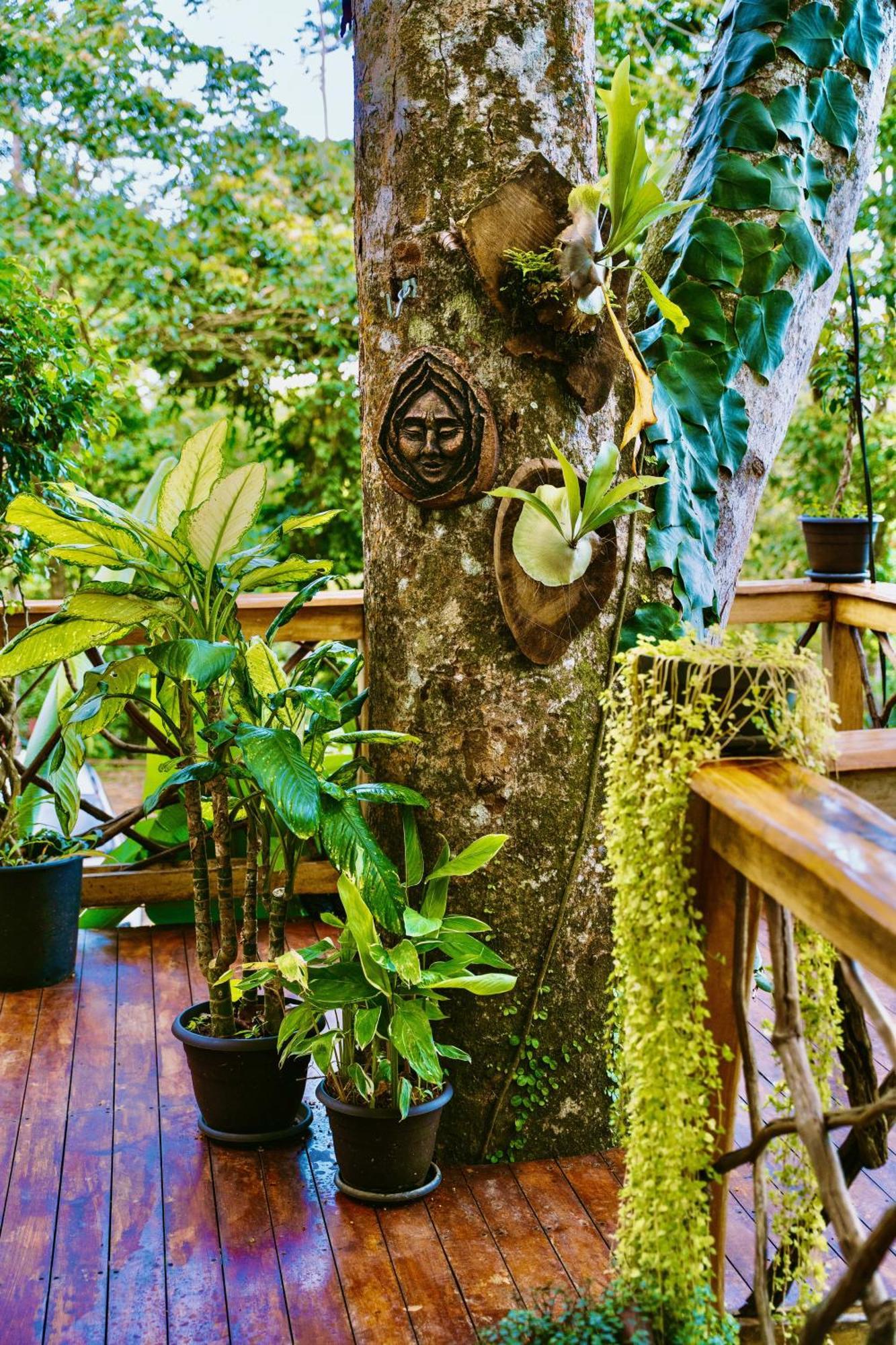 Villa Jungle Spirit Treehouse à Cahuita Extérieur photo
