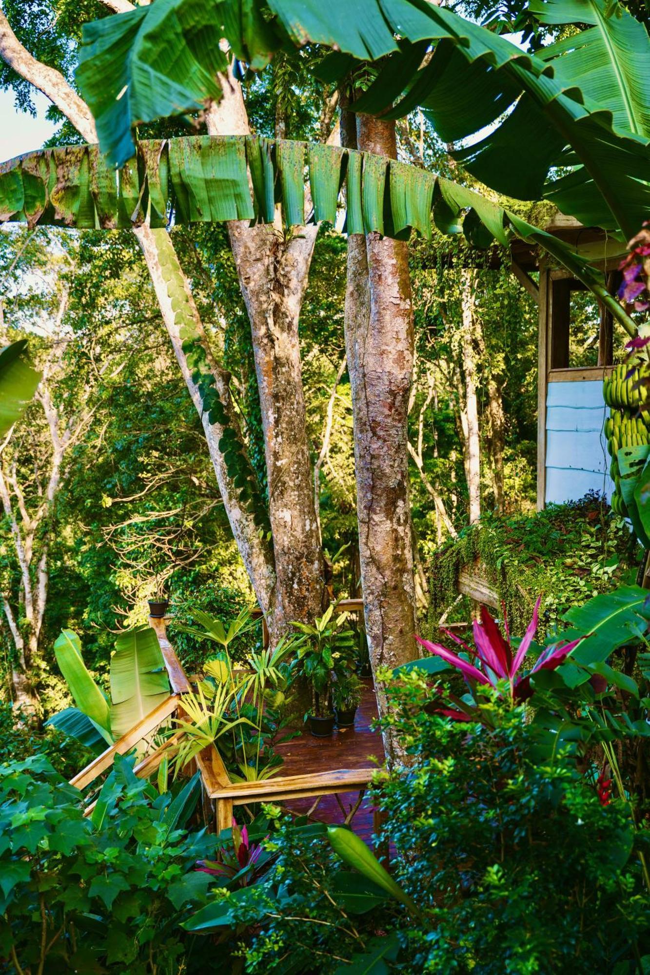 Villa Jungle Spirit Treehouse à Cahuita Extérieur photo